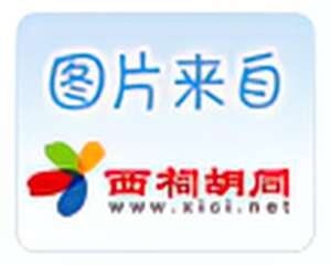 花与枝的故事