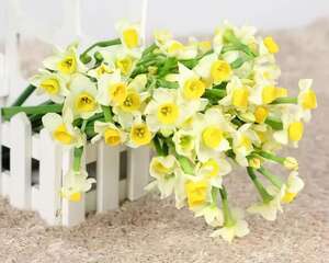 客厅摆盆它，1杯水就能开爆，满屋子都是香味！