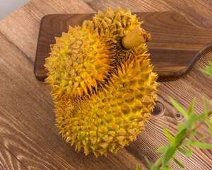 榴莲春天怎么养