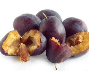 李子开花怎样保花保果