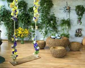 她7岁开始养花，一养30年，满墙满屋都是花！