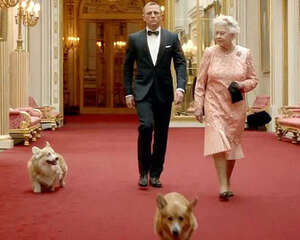 英国女王的柯基