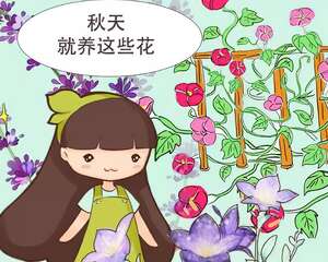入秋就养这10种花，一开200天，-10度冻不死！
