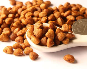 有哪些比较好的狗粮牌子