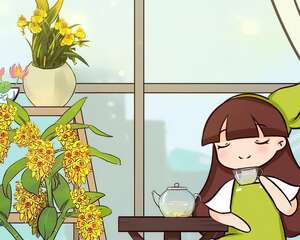 人养花，花也养人，这花能治病，连医生也爱养！