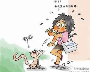 被猫狗咬伤怎么办被狗、猫咬伤、抓伤，怎么办？