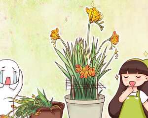 家里有这花，叶子东倒西歪，再不管小心没花看！