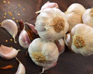 矿泉水瓶养蒜苗的方法