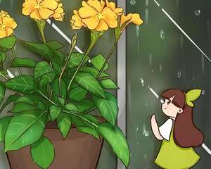 10种花爱淋雨，下雨扔外面，比白菜长的还快！