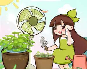 这10种花，天越热越扦插，3天冒出大白根！