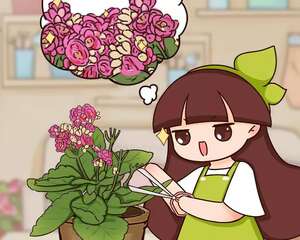 长寿蟹爪兰…花开败抓紧剪，20天又冒满头花苞！
