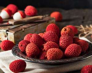 荔枝籽怎么种才能发芽