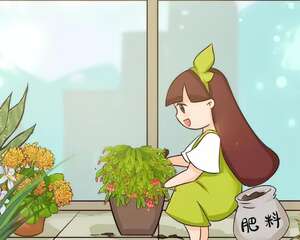10种花，现在快施肥，不然今年没花看！
