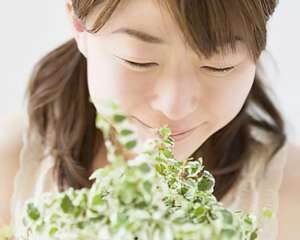 白领办公桌上的迷你花盆栽培