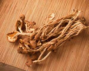 蘑菇表面长白毛是这么回事