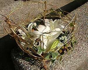 心的祝福（图）