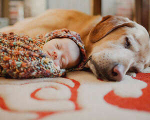 那些宠物更易教会孩子的事