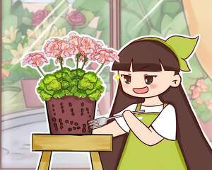 新买的花，盆上戳80个洞，越破花长得越旺！