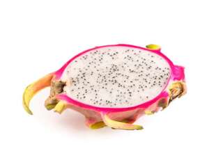 火龙果苗冬天怎么过冬