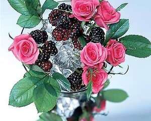 情人节插花DIY 营造两个人的小浪漫