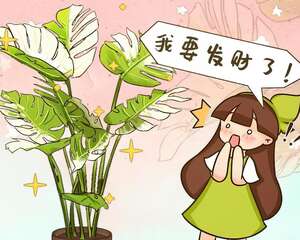 家里的花长出这种叶，千万保护好，特别值钱！