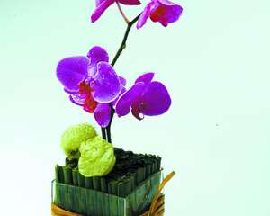 手把手教你DIY插花(图)
