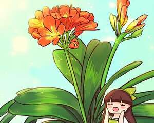 这花吃了啥？叶子绿的滴油，3年不用换盆！