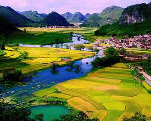 回归田园，她们用青春浇灌家乡的热土