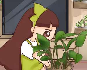 盆土硬成大疙瘩，浇点松土剂，立马软得像发糕！