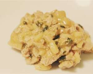 【美食攻略】自制猫咪粗粮粥