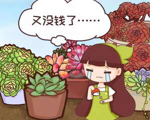 养花人的7个“坏毛病”，快看你中了几个？