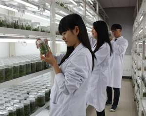 多肉组培这么高级的玩意儿，了解一些才方便装13哦