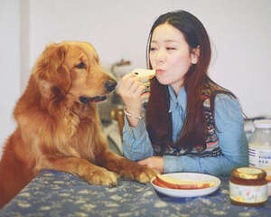 为什么狗狗喜欢粘着主人