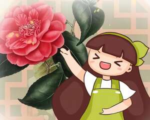 这4种花要开了，千万别挪地儿，不然花苞哗哗掉！