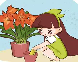 这花别往屋里搬，阳台冻俩月，开花爆满盆！