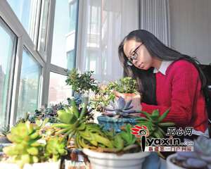 花友故事：乌鲁木齐80后美女的多肉人生