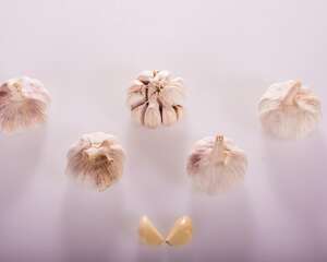 怎么种大蒜，秋播大蒜的栽培方法