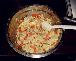 【美食攻略】自制狗狗爱吃的鸡腿土豆饭