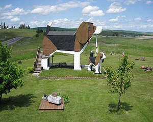 带狗狗入住旅馆时的注意事项