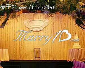 紫韵怡人彰显浪漫优雅飘逸