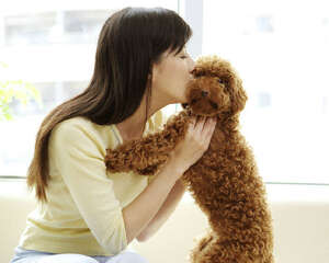 家养宠物该如何选择清洁剂