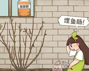 春天正施肥，氮磷钾肥别买了，自己在家就能做！