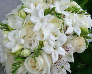 插花的前世今生(图)