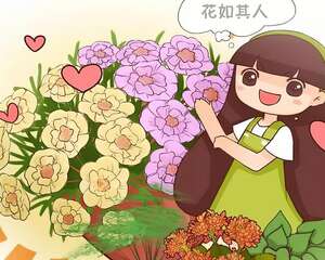 花如其人，你喜欢养什么花，就是什么样的人！