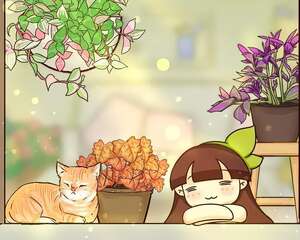 这花就要多晒，太阳下面会变色，叶子比花还好看！