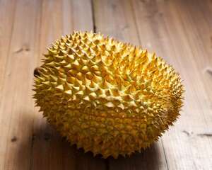 榴莲核怎么种