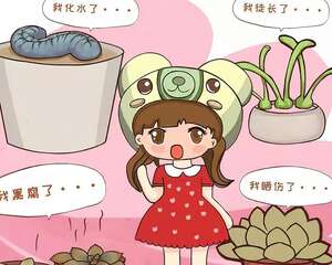 多肉届的比惨大会，你来猜猜谁能赢？