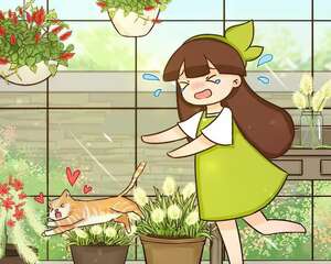 这花不施肥、不打药，旱上2个月，立马疯狂爆花！