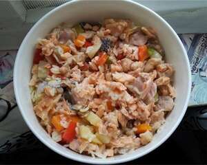 【美食攻略】自制狗狗意大利面