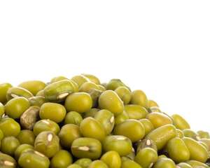 几粒绿豆，一把热水壶，3天发出无毒绿豆芽！